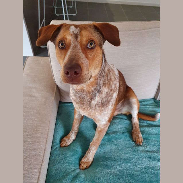 Photo of Jax