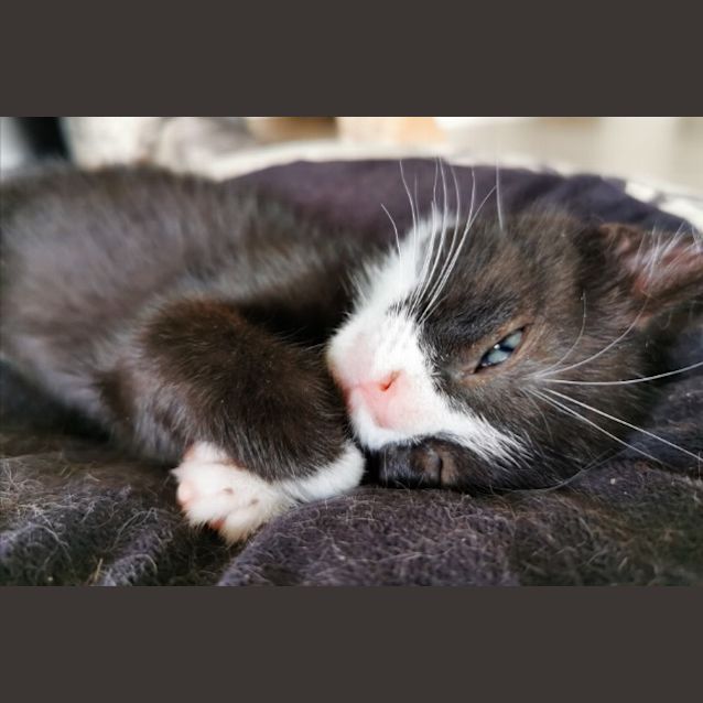 Photo of Tom 