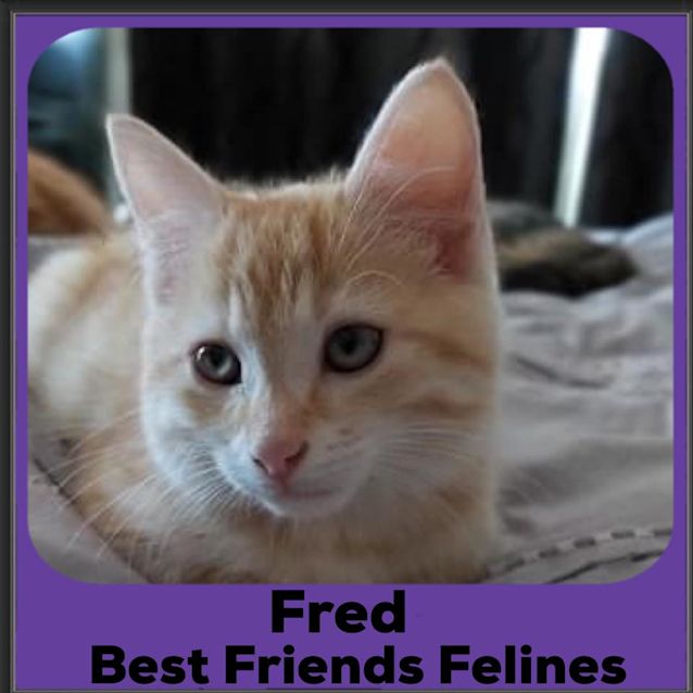 Photo of Fred 