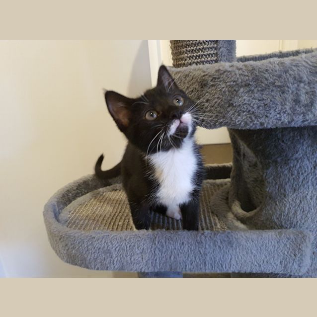 Photo of **Applicatons Closed**    Missy