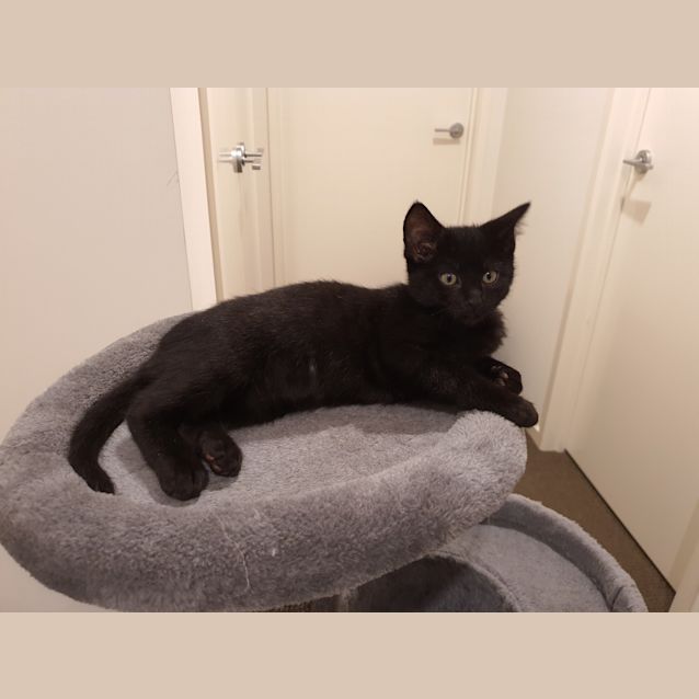 Photo of **Applications Closed**   Nigel