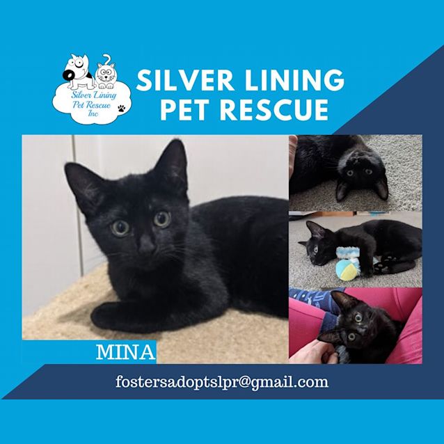 Photo of Mina