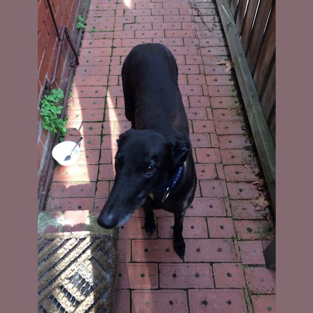 Photo of Jade.   Melbourne