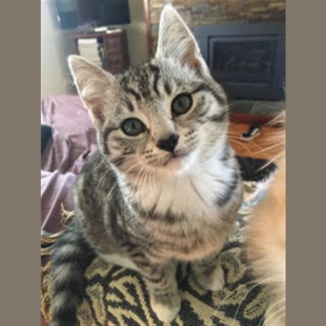 Photo of Boo