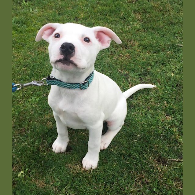 Photo of Murphy