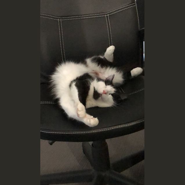 Photo of Yin