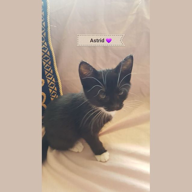 Photo of Astrid