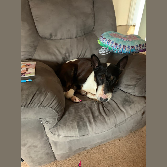 Photo of Hanna   Foster Carer Needed