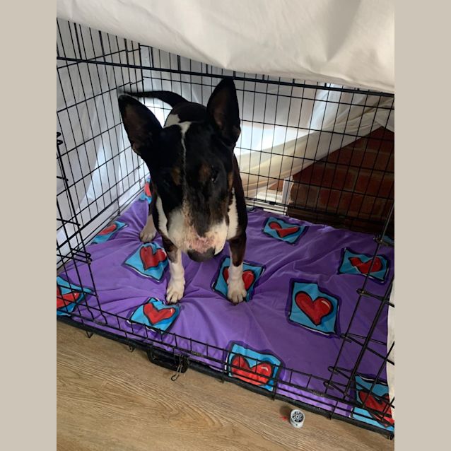 Photo of Hanna   Foster Carer Needed