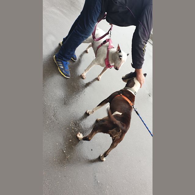 Photo of Hanna   Foster Carer Needed