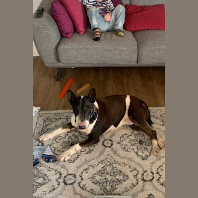 Photo of Hanna   Foster Carer Needed