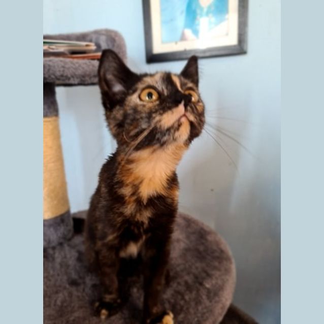 Photo of Jasmine