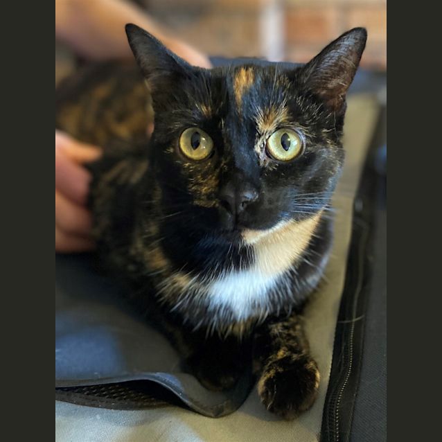 Photo of Sophie
