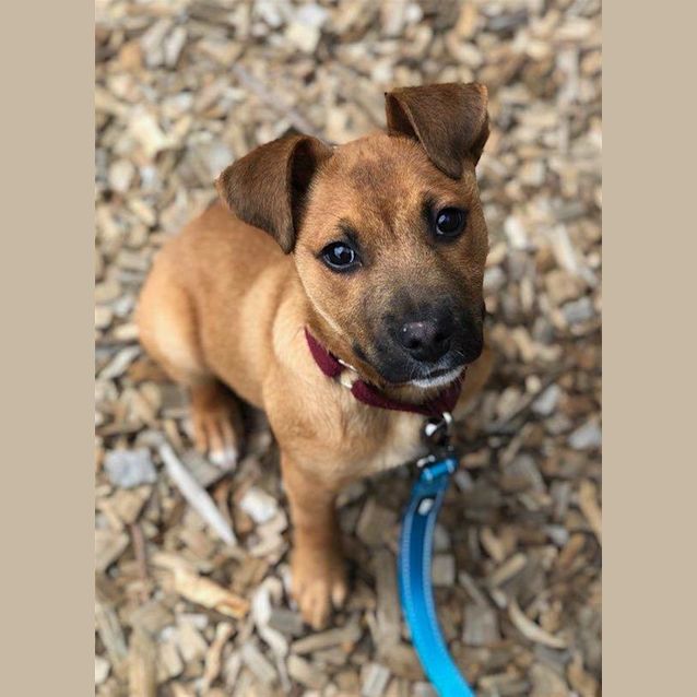 Photo of Theodore