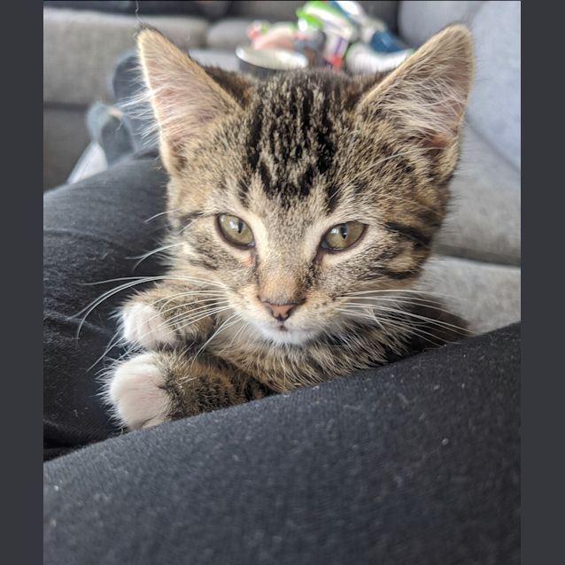 Photo of Minnie