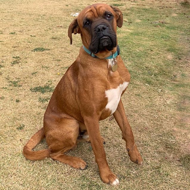 Photo of Boef *On Trial In His New Home*