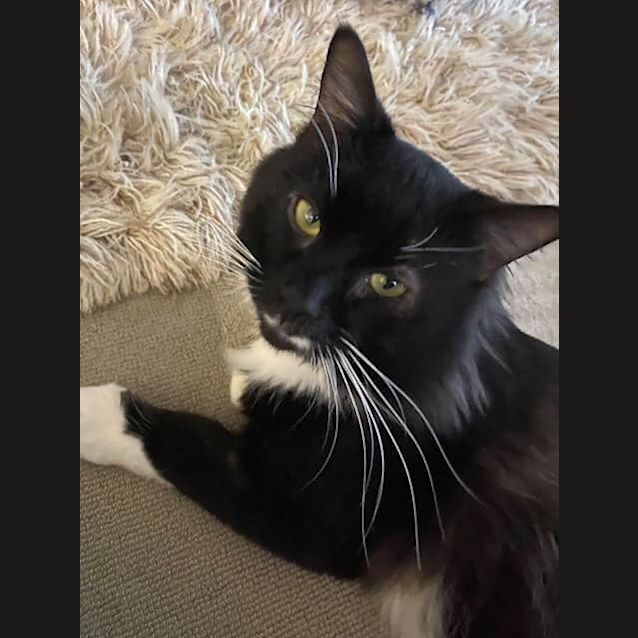 Photo of Moe