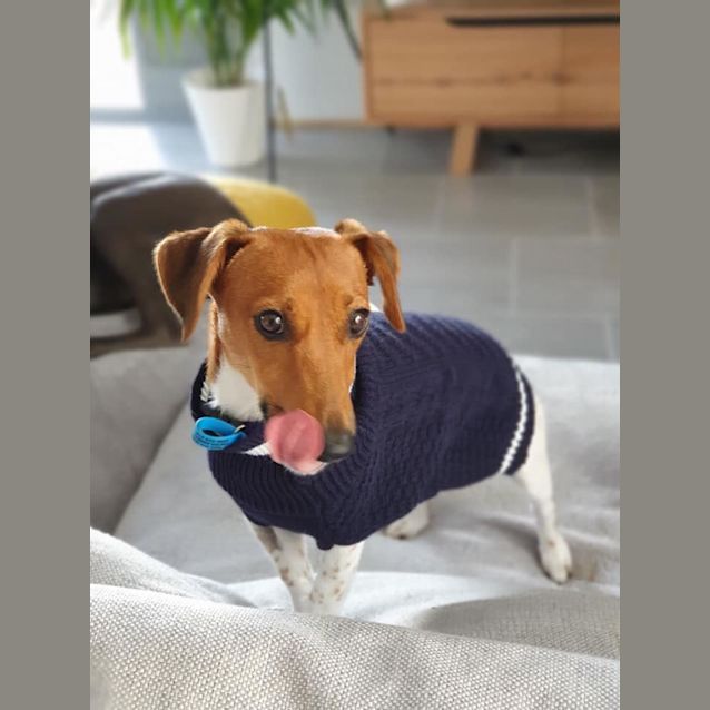 Photo of Peanut