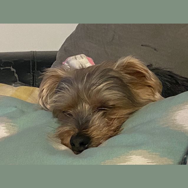 Photo of Twix