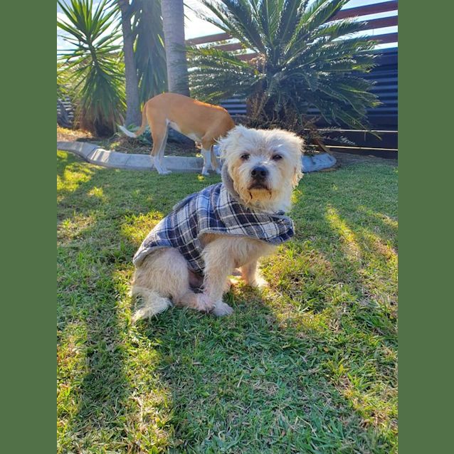 Photo of Benni