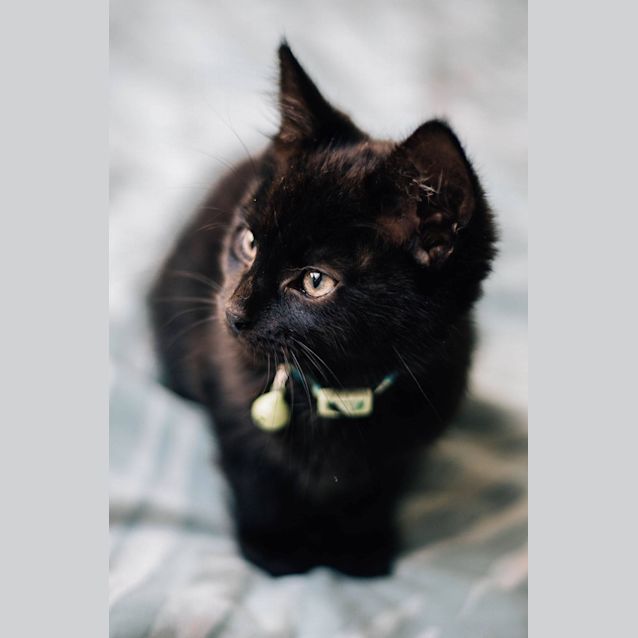 Photo of Ivan