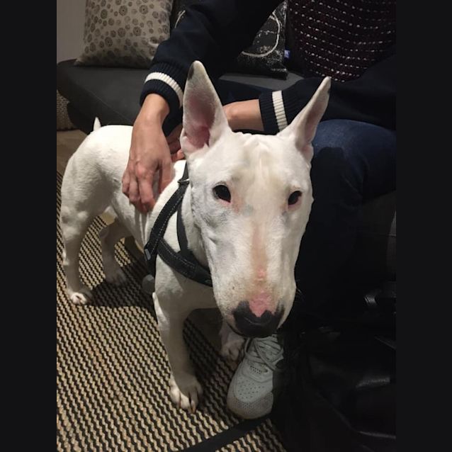 Photo of Dotty   Experiences Foster Carer Needed