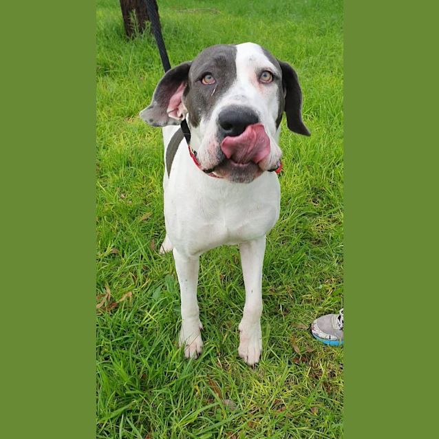 Photo of Cloudy Dl2458