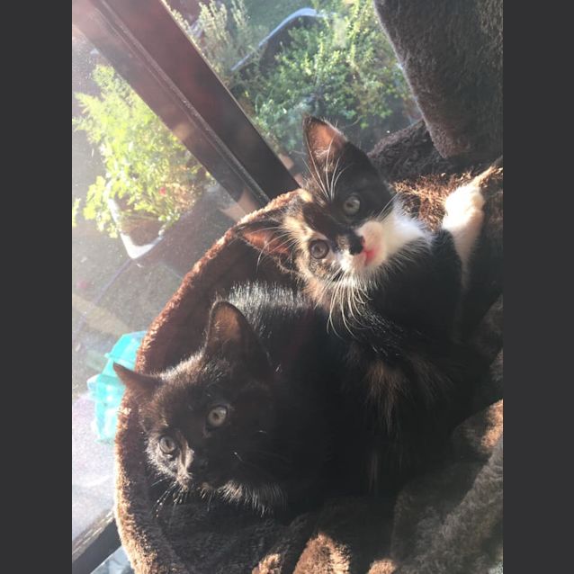 Photo of Itsy