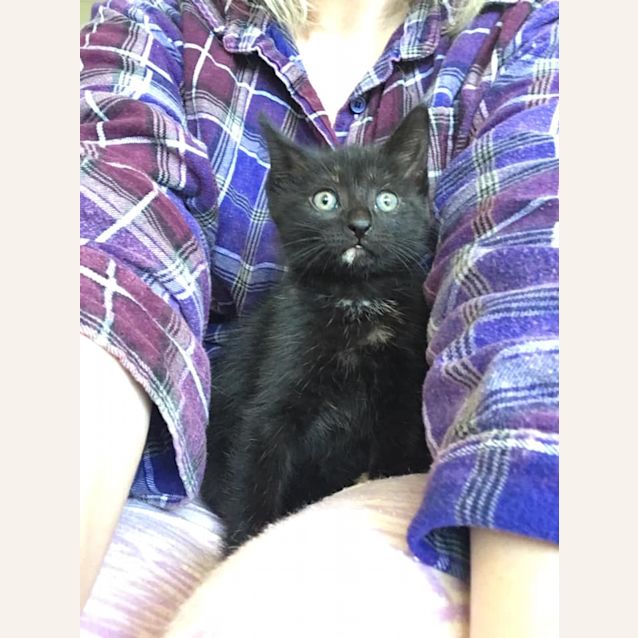 Photo of Bitsy