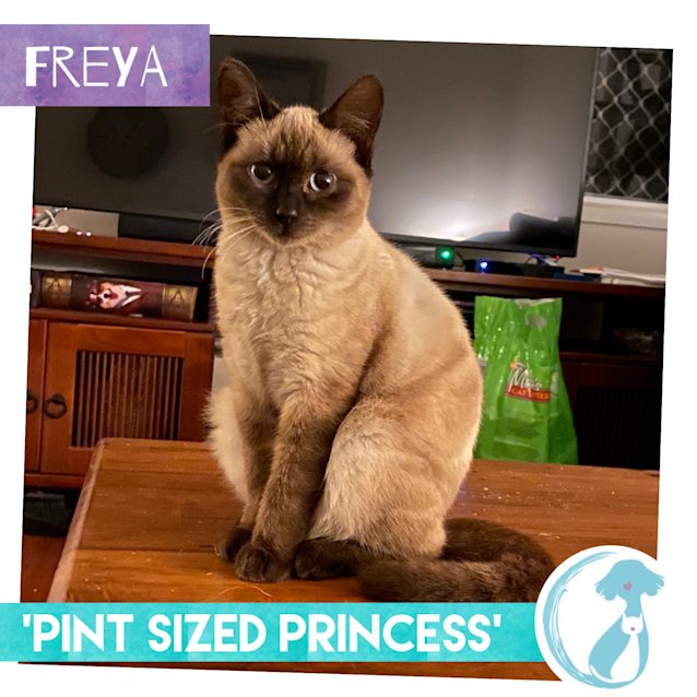 Photo of Freya 