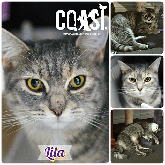 Photo of Lila 