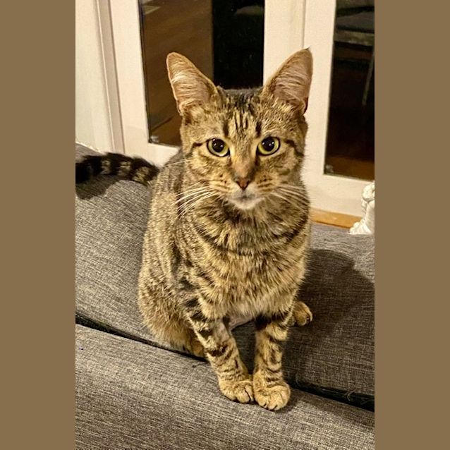 Photo of Marvellous Maggie