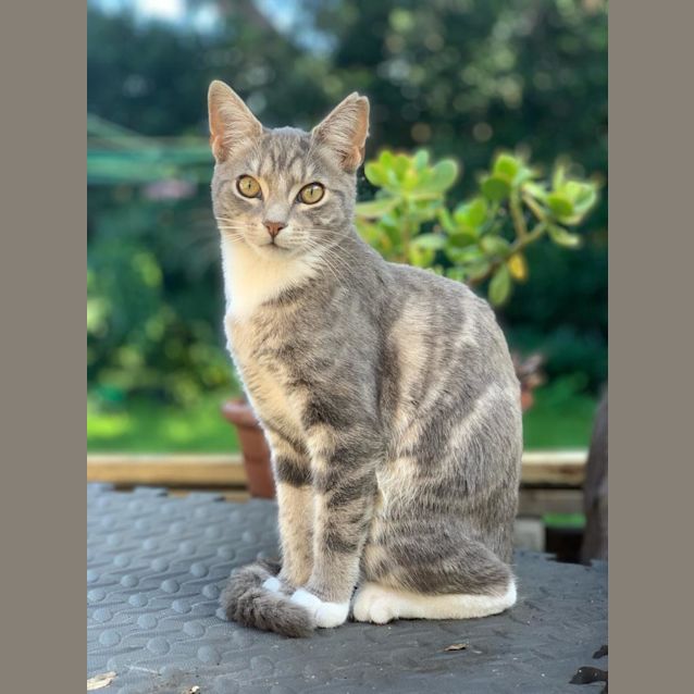 Photo of Polly
