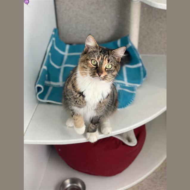 Photo of Hazel