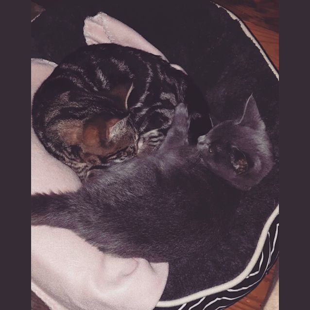 Photo of Dolly And Kenny