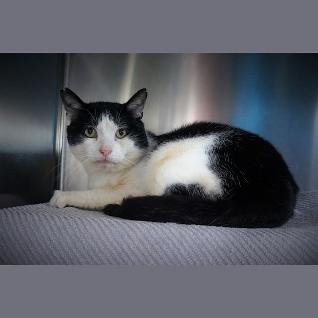 Photo of Tom Tom