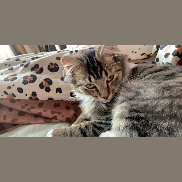 Photo of Freddy