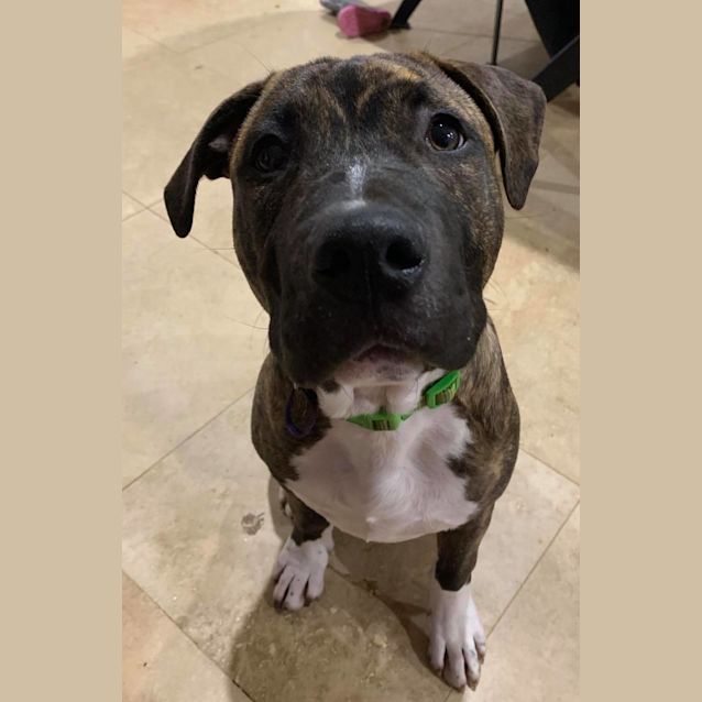 Photo of Arlo 