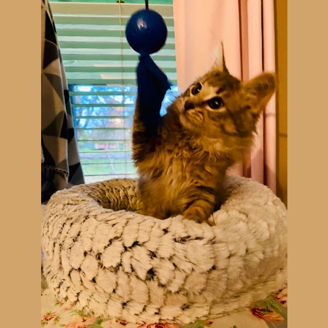 Photo of Luke Skypawker 