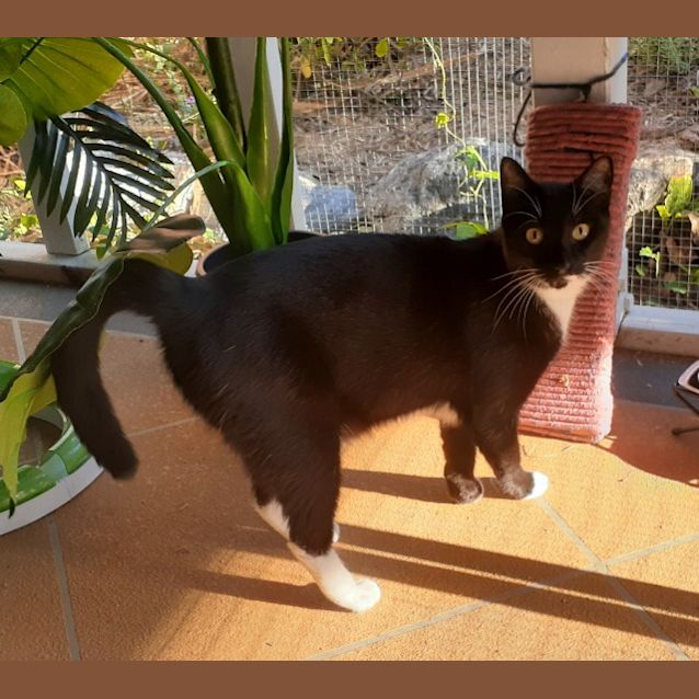 Photo of Phoebe