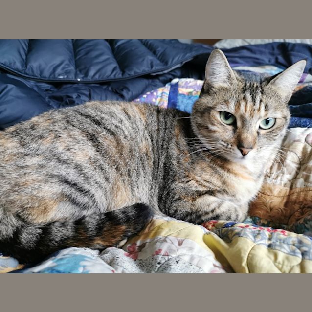 Photo of Suki ❤