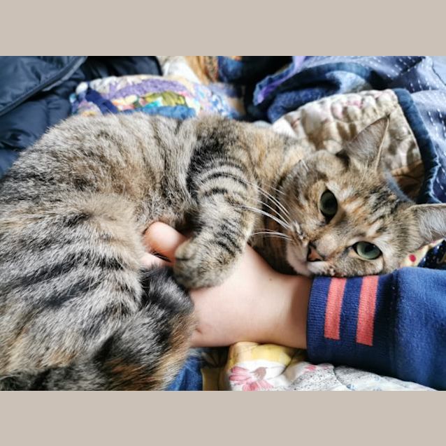 Photo of Suki ❤