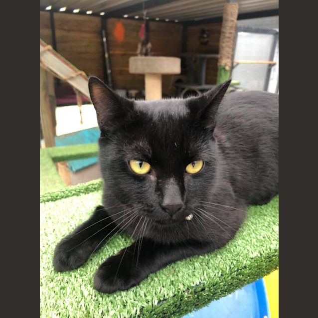 Photo of Tarmac & Licorice