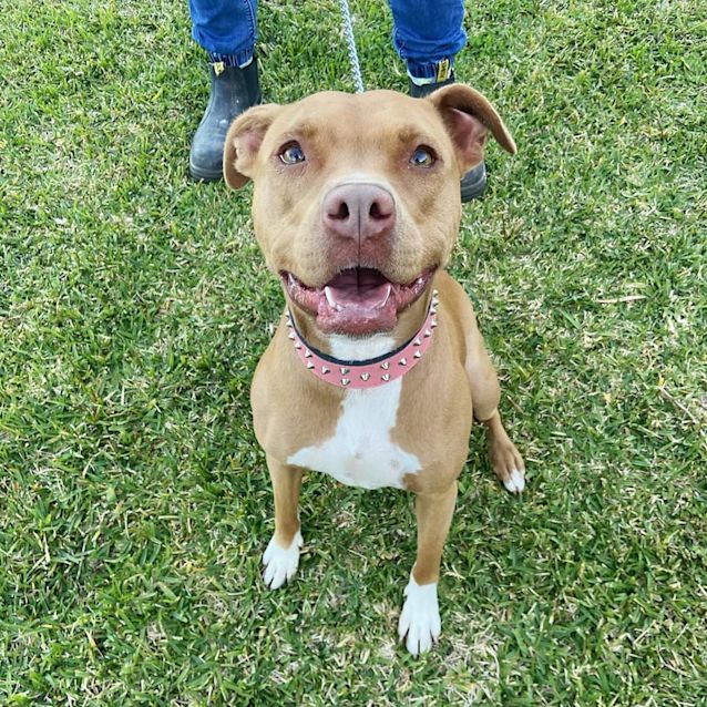 Photo of Kona