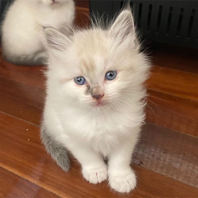 Photo of Sallie Brown