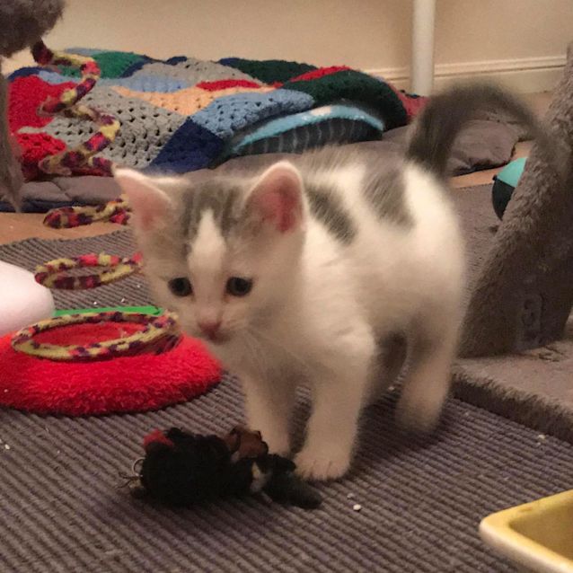 Photo of Violet Gray