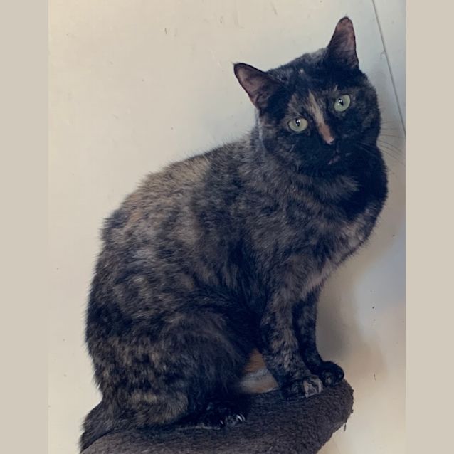 Photo of Little Ki