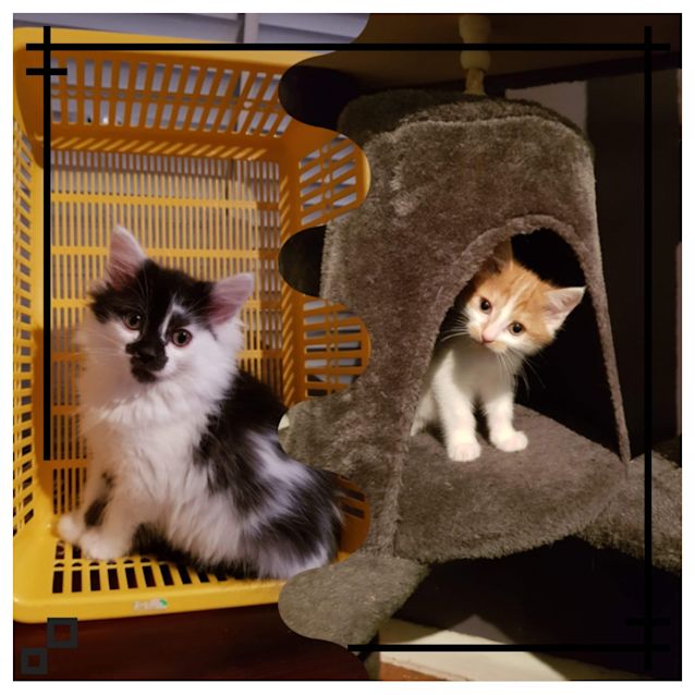 Photo of Marble And Sangria ❤❤