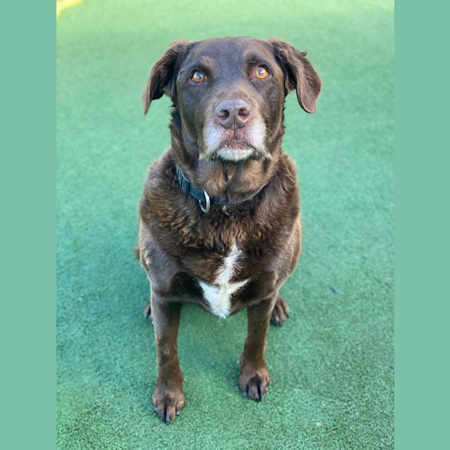 Photo of Ruby