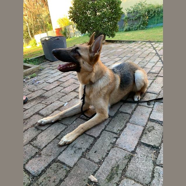 Photo of Nikita Has A Meet And Greet 17.7.2020